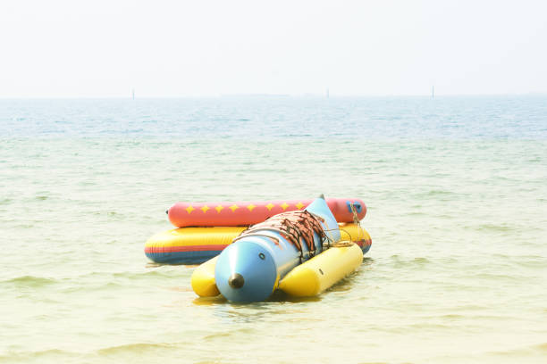 istock banana  boa  in the sea 1203808330