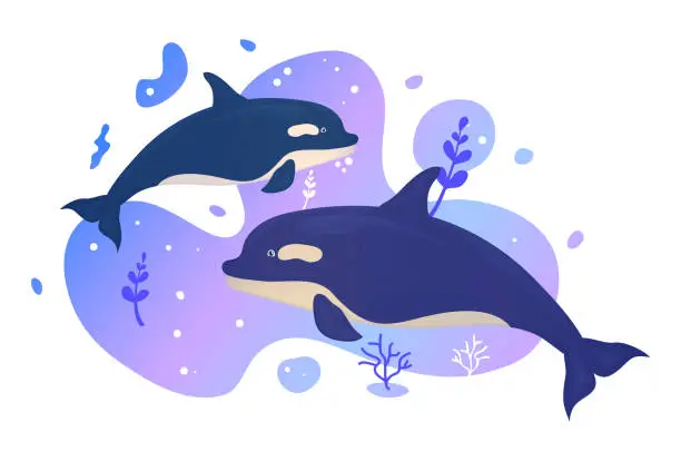 Vector illustration of Two dolphins in the sea. Ocean fish. Underwater marine wild life. Vector illustration.
