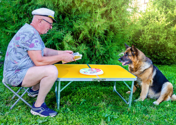 hombre alimenta al perro hablando - newspaper dog pets grass fotografías e imágenes de stock
