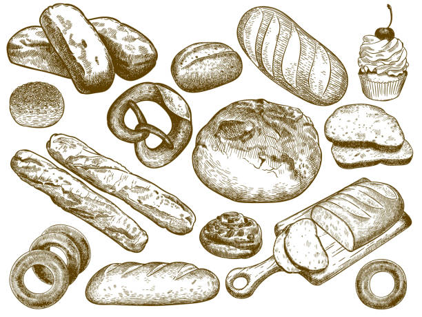 elle çizilmiş taze ekmek. susamlı çörek, kraker ve fransız somunu. sketch fırın ekmekvektör illüstrasyon seti - baguette stock illustrations