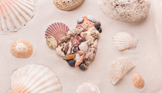 A heart made of shells for Saint Valentine's Day for traveling lovers