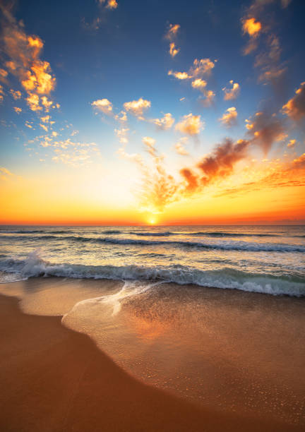istock Beautiful tropical sunrise on the beach. 1203809934