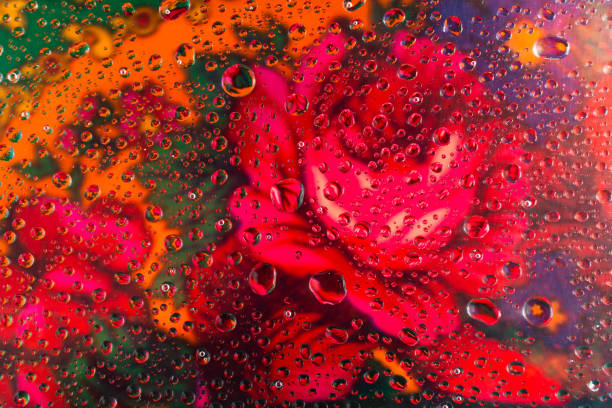 istock abstract red rose background with water drops in the foreground 1203810176