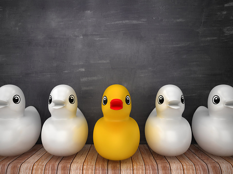 Rubber Duck on Wood Floor - Chalkboard Background - 3D Rendering