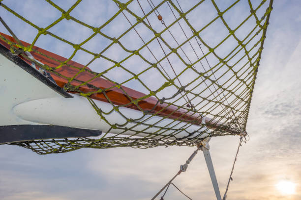 istock Rigging of a tall ship below a blue cloudy sky in sunlight in winter 1203813531