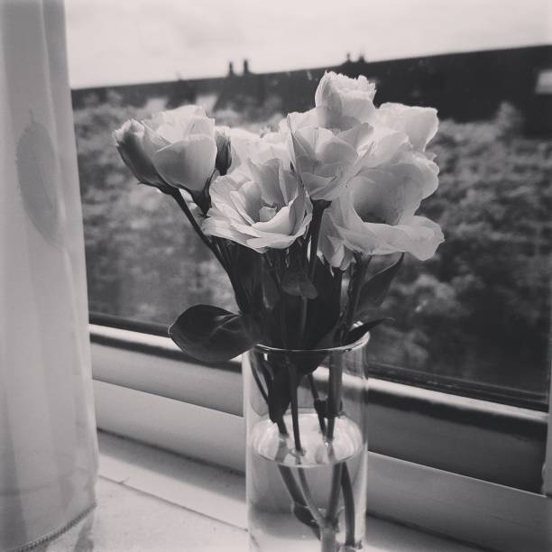 istock Flowers and Melancholy 1203815790
