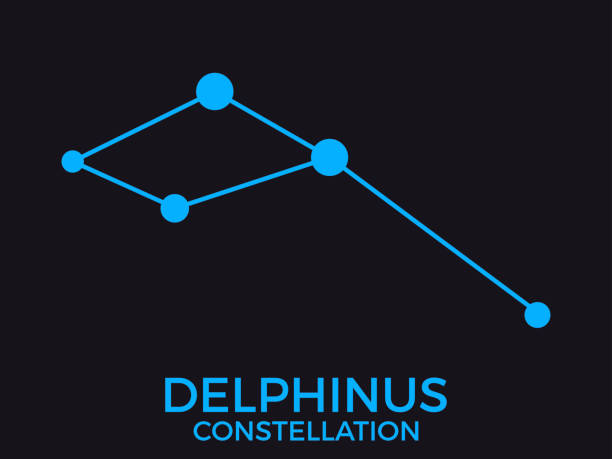 Delphinus constellation. Stars in the night sky. Cluster of stars and galaxies. Constellation of blue on a black background. Vector illustration Delphinus constellation. Stars in the night sky. Cluster of stars and galaxies. Constellation of blue on a black background. Vector illustration constellation delphinus stock illustrations