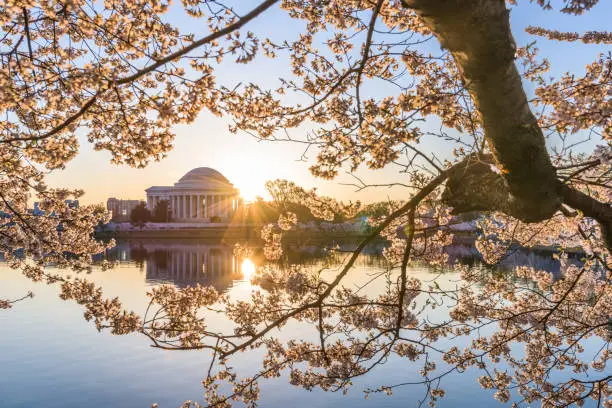 Photo of Washington, DC at the Tidal Basin and Jefferson Memorial