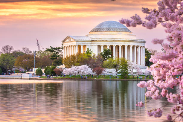 washington, dc presso il bacino delle maree e jefferson memorial - washington dc night jefferson memorial memorial foto e immagini stock