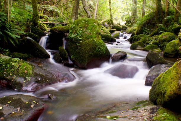 istock Torrent in the monne gorges 1203816770