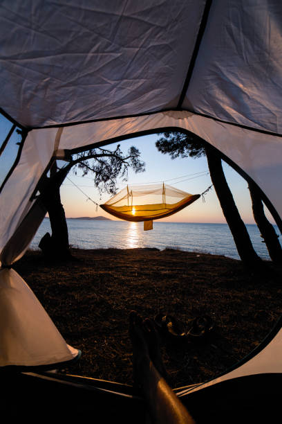 istock tents and hammock in summer camp 1203817954