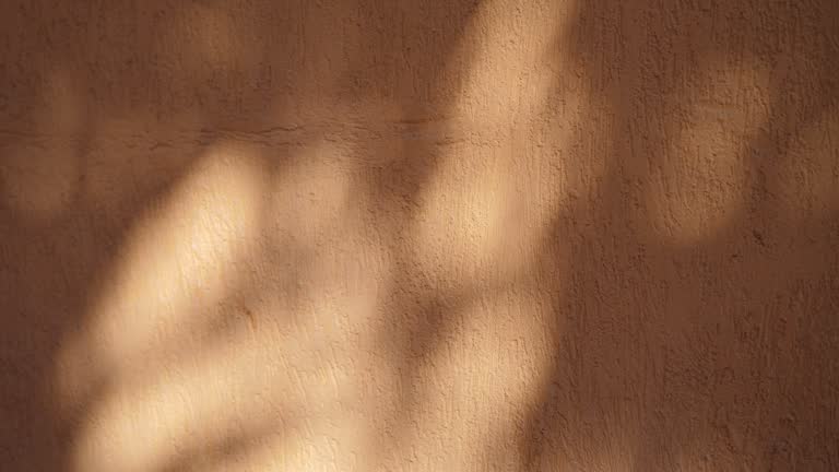 Abstract shadow of leaves from early morning sunlight shining on interior orange wall, 4k video in ProRes. Shadow of leaf on the wall