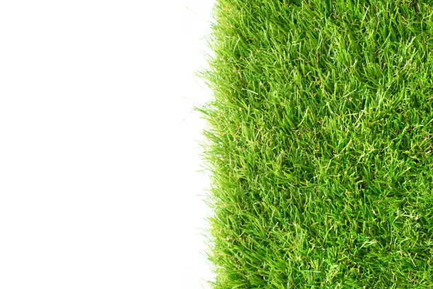 Green artificial grass on a white background, copy space.