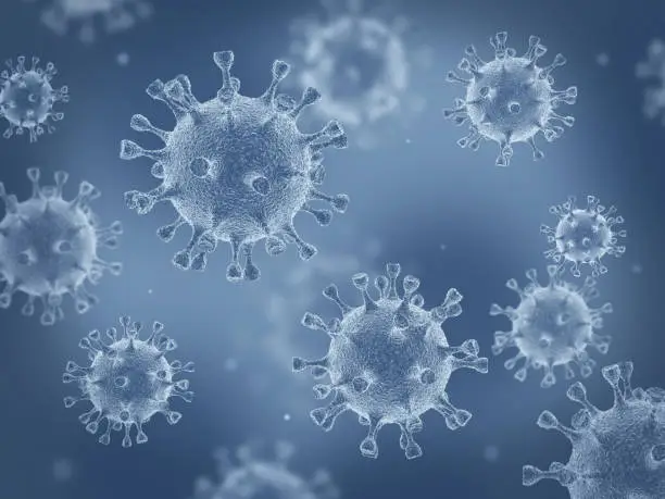 Photo of Coronavirus cells