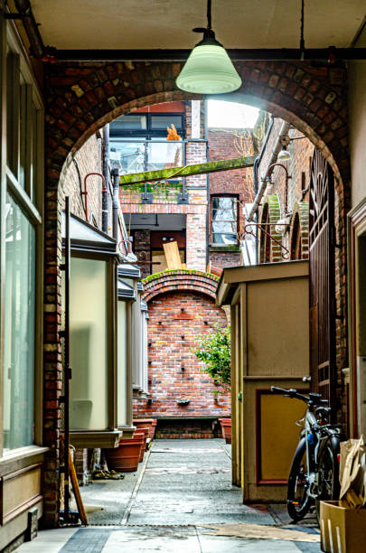 istock narrow street in old town 1203826865