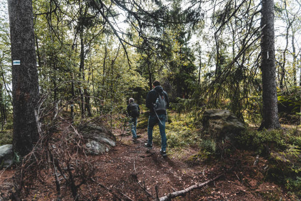 istock Wandering along the trail through the forest 1203828438