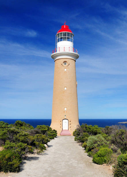 istock Lighthouse At Cape Couedic Kangaroo Island SA Australia 1203831259