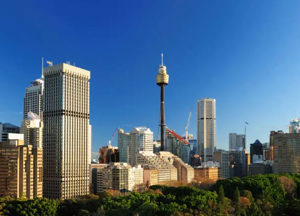 Bird's Eye View To Hyde Park And Skytower Sydney On A Sunny Autumn Day With Clear Blue Sky