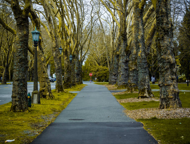 istock Walkway near University of Washington 1203832885