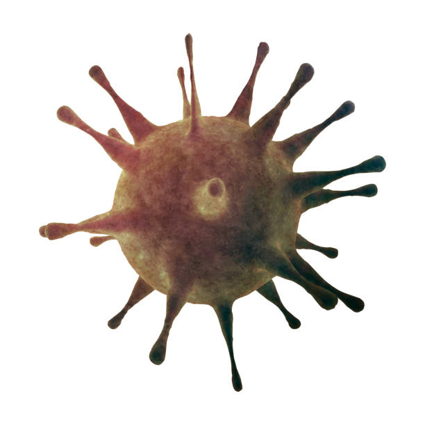 istock New coronavirus 2019-ncov. 3D medical illustration 1203833748