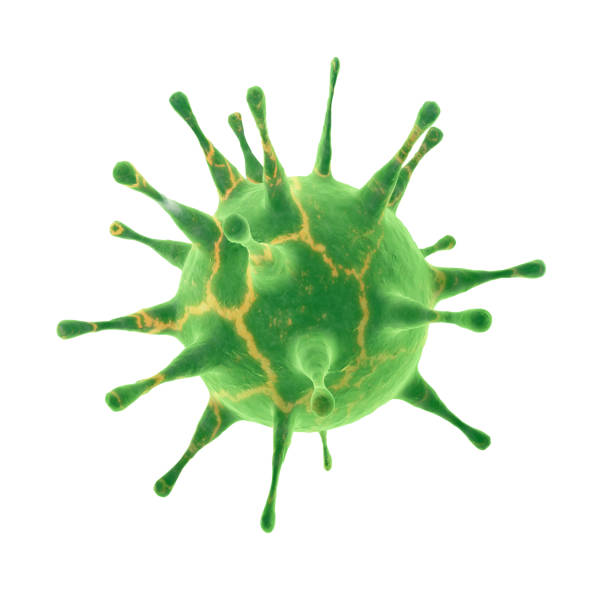 istock New coronavirus 2019-ncov. 3D medical illustration 1203833852