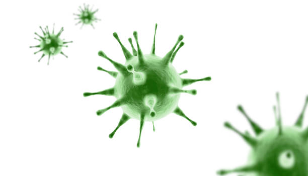 istock New coronavirus 2019-ncov. 3D medical illustration 1203834094