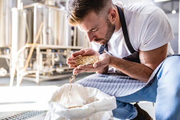 człowiek w browarze rzemieślniczym - brewery beer barley cereal plant zdjęcia i obrazy z banku zdjęć