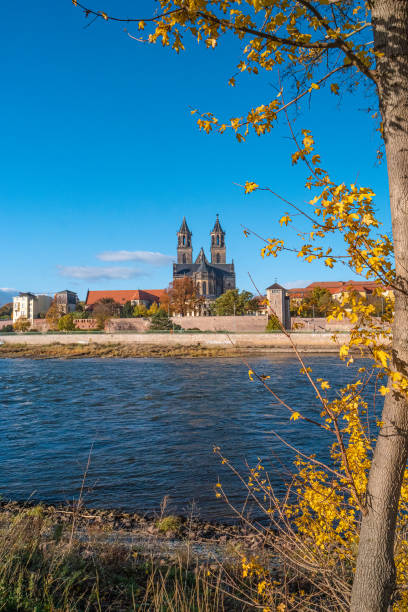 magnifica cattedrale, fiume elba in dorato colori autunnali nel centro di magdeburgo, centro città, magdeburgo, germania, giornata di sole, cielo blu - medieval autumn cathedral vertical foto e immagini stock