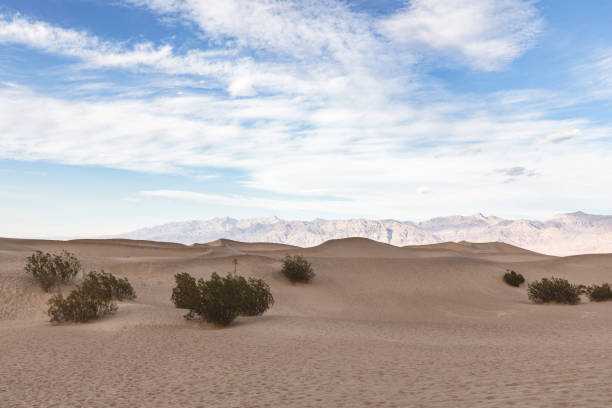 A view of the scenic landscape of the Death Valley
