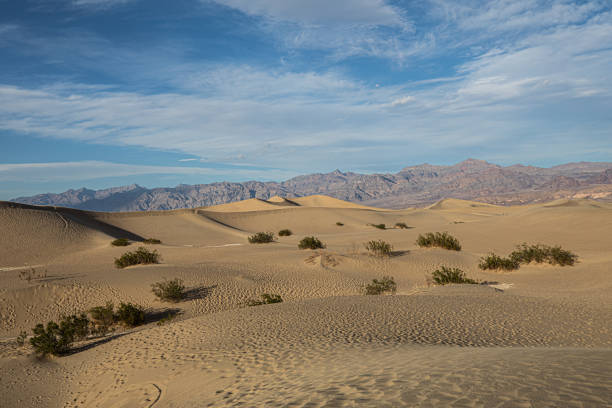 istock Death Valley - United States 1203840481