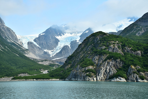 A glacier and lush vegetation as seen from Northwestern Fjord in Kenai Fjord National Park, Alaska.