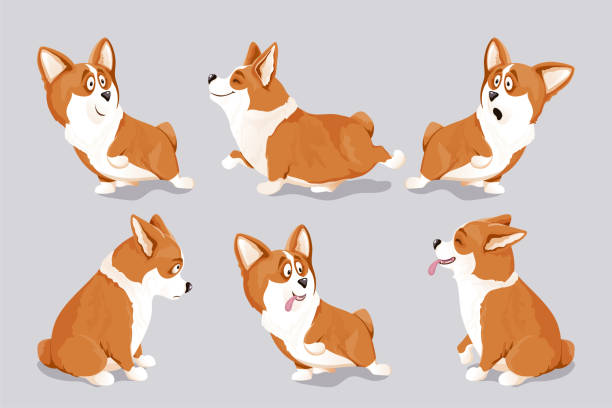 ilustrações de stock, clip art, desenhos animados e ícones de corgi dog puppies set. isolated, hand drawn, vector illustration - dog sadness large isolated