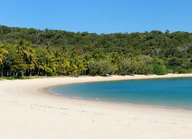 The Wonderful White Sand Fishermen's Beach Contrasting With The Turquoise Ocean On Tropical Great Keppel Island On A Sunny Day With Clear Blue Sky