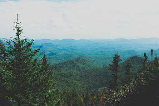 Summer in the Adirondack park shows rolling luscious mountains of evergreens and pines stretching to the sky.