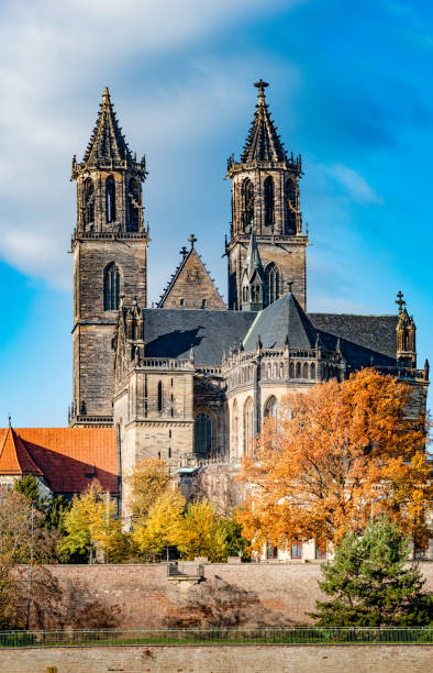 magnificent cathedral, elbe river in golden autumn colors at downtown of magdeburg, city center, magdeburg, germany, sunny day, blue sky - medieval autumn cathedral vertical imagens e fotografias de stock