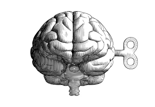 Monochrome vintage engraving drawing human brain with wind up key in front camera view  illustration isolated on white background