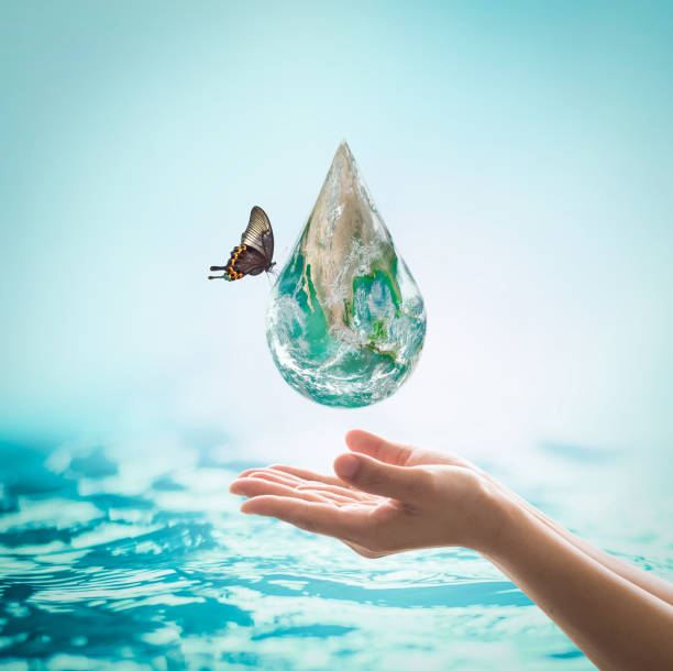 istock World ocean day,, saving water campaign, sustainable ecological ecosystems concept with green earth on woman's hands on blue sea background : Element of this image furnished by NASA 1203853433