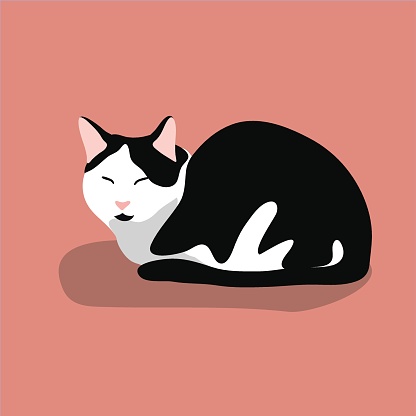 Set of cute cat in various poses: sleeping, sit, stretching. Black and white cat with green eyes  isolated on blue  background. Stock vector illustration in flat style.