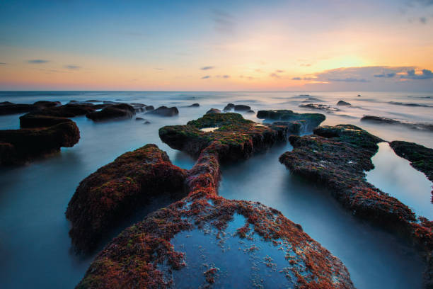 istock Nyanyi Beach Coral Reef 1203856932