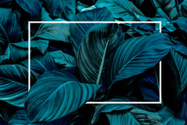 istock Square frame, Creative layout made of tropical flowers and leaves with paper card note. Flat lay. Blank for advertising card or invitation. Flat lay. Nature concept. 1203863668