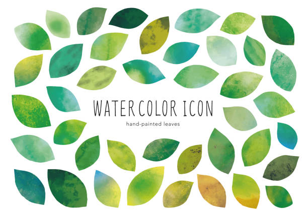 grüne blätter aquarell - green watercolor painting leaf watercolour paints stock-grafiken, -clipart, -cartoons und -symbole