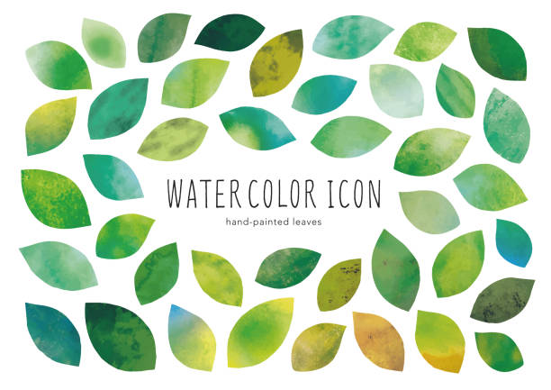 ilustrações de stock, clip art, desenhos animados e ícones de green leaves watercolor - tree symbol watercolour paints watercolor painting