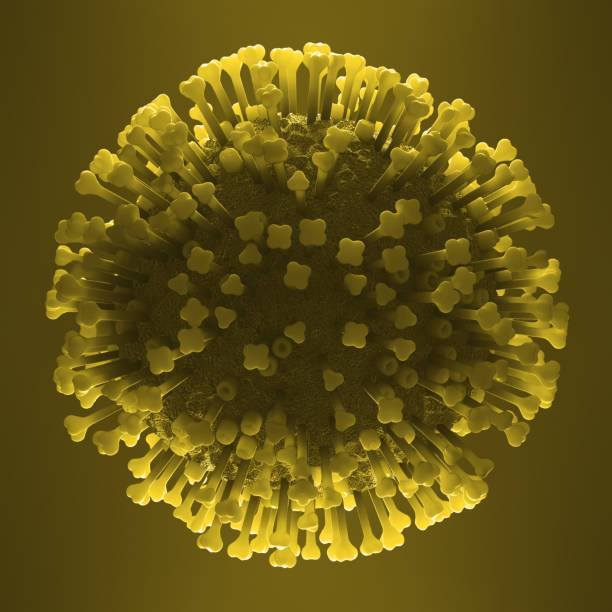 istock The Flu Influenza Virus Influenzavirus Viruses 1203868829