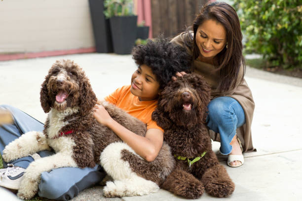 madre y su hijo riendo y jugando con su perro. - labradoodle fotografías e imágenes de stock