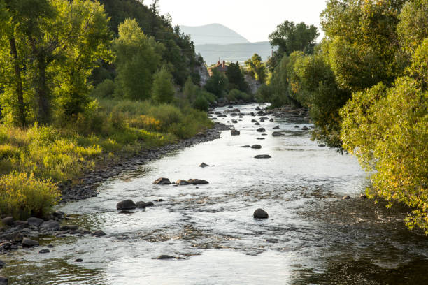 istock Shallow Rocky River with Mountain Background Trees 1203876110