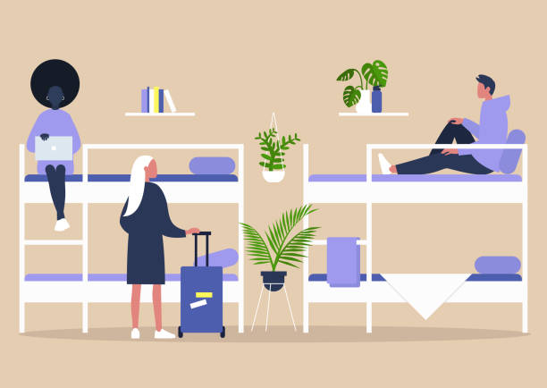 ilustrações de stock, clip art, desenhos animados e ícones de dorm interior, young travellers standing and sitting on the bunk beds in a hostel mix room - student campus lifestyles university