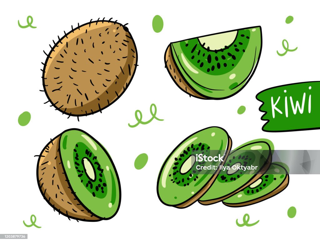 Vetores de Kiwi Fruta Inteira Fatia E Seccional Ilustração Vetorial  Desenhada À Mão No Estilo Desenho Animado Isolado Em Fundo Branco e mais  imagens de Comida - iStock
