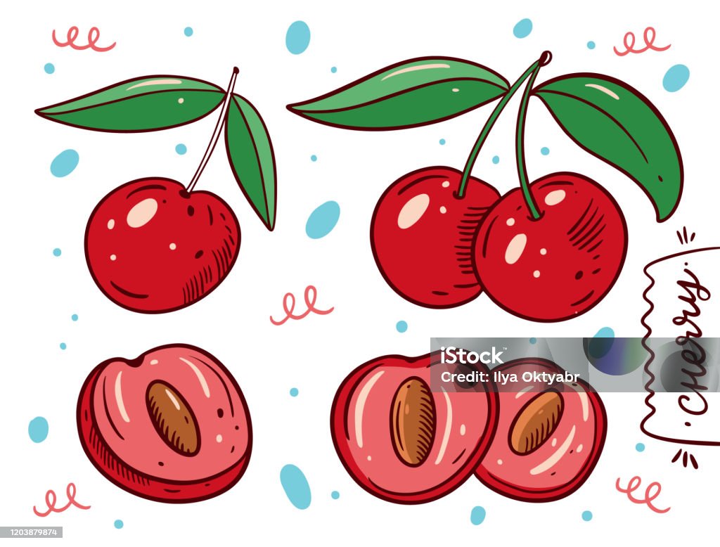 Bộ Anh Đào Chín Toàn Bộ Và Quả Mọng Hình Minh Họa Vector Vẽ Tay ...