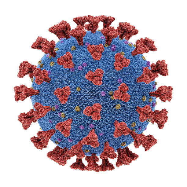 istock Coronavirus Respiratory Infections Viruses Mutation Clipping Path 1203879967