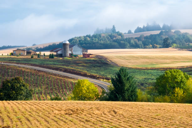 istock Farm hills in oregon 1203881470